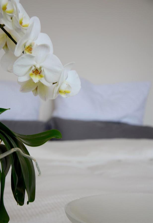 B&B Fernblick Im Nuernberger Land Mimberg エクステリア 写真